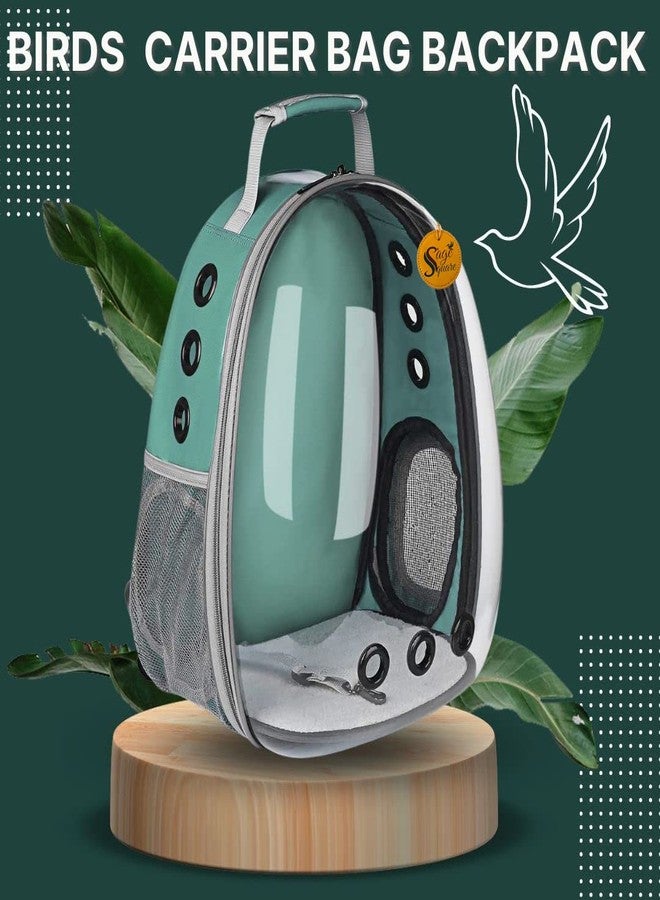 سايج سكوير حقيبة ظهر لحمل الطيور من سيج سكوير، حقيبة ظهر صغيرة لحمل الطيور الصغيرة والمتوسطة، حقيبة ظهر شفافة جيدة التهوية لحمل الحيوانات الأليفة والطيور أثناء المشي لمسافات طويلة (أخضر) - Image 2